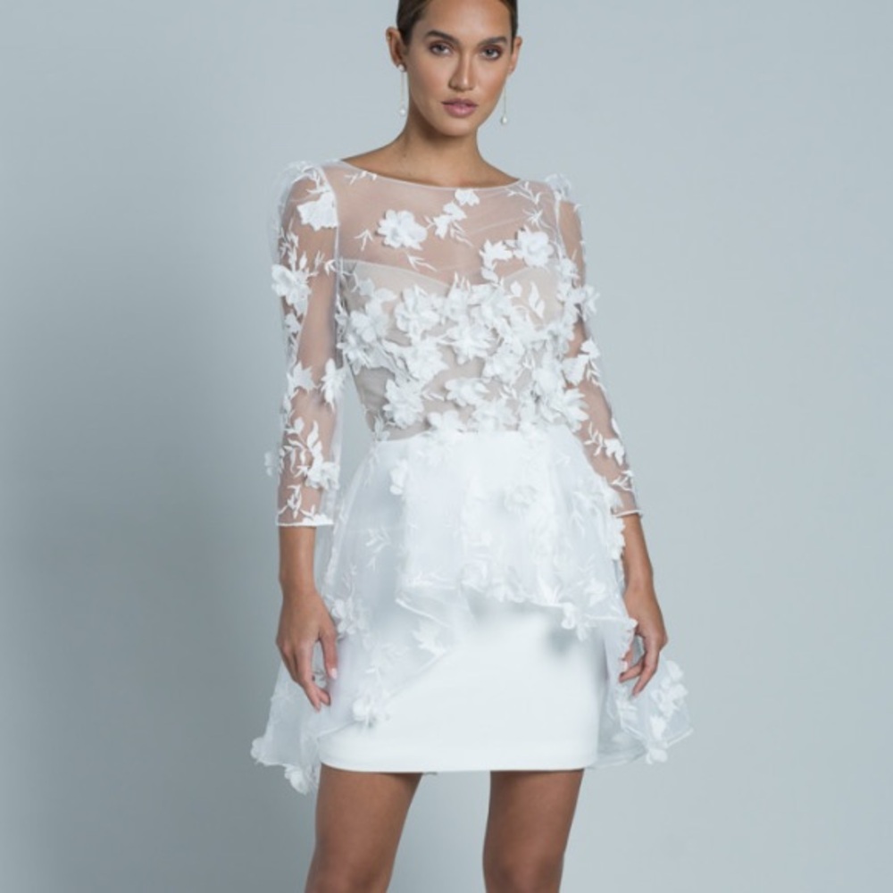 Rime Arodaky NWT Quilak Open-back Appliqué Embroidered Tulle Crepe Mini Dress